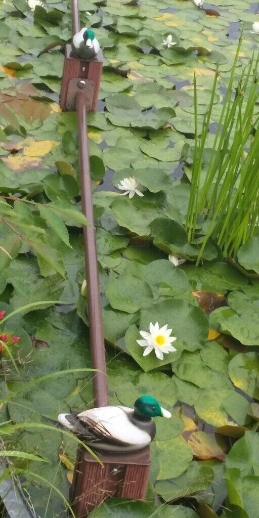 芳那の水晶湖 市貝町の湖沼 樹木 栃ナビ