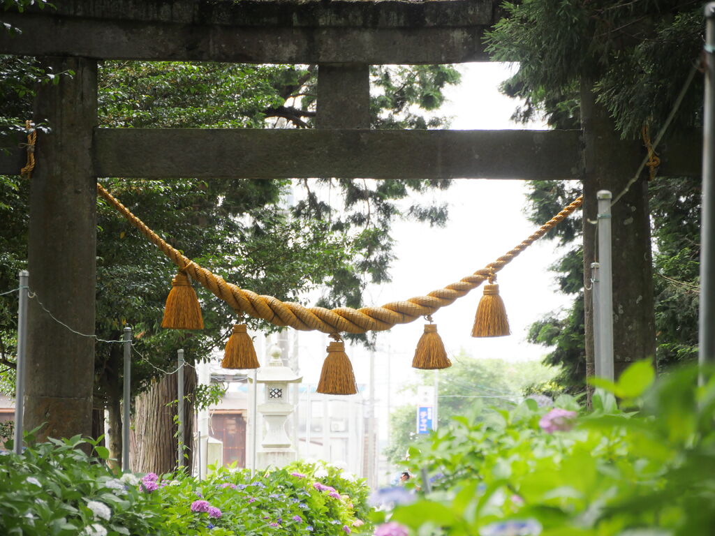 磯山神社 鹿沼市の神社 仏閣 教会 植物園 花 栃ナビ 磯山神社 鹿沼市の神社 仏閣 教会 植物園 花 栃ナビ