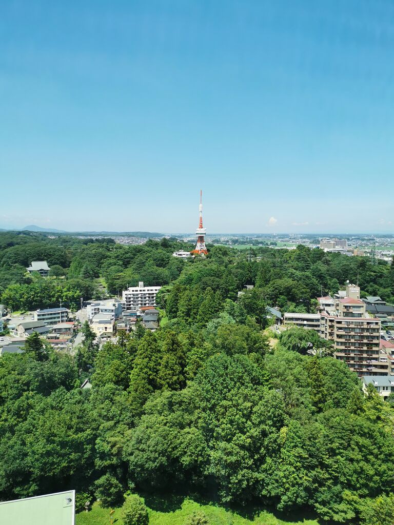 栃木県庁15階展望ロビー 宇都宮市のギャラリー 栃ナビ 栃木県庁15階展望ロビー 宇都宮市のギャラリー 栃ナビ