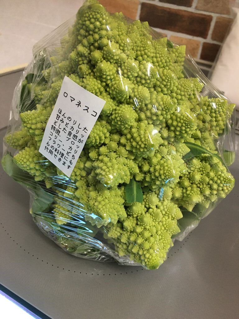 畑市場 はるいちば 宇都宮市の野菜 直売所 栃ナビ