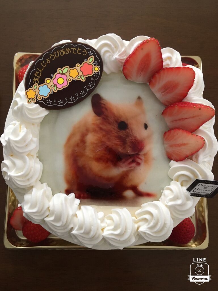 チョコたん さんからモンハイム洋菓子店への投稿クチコミ 栃ナビ