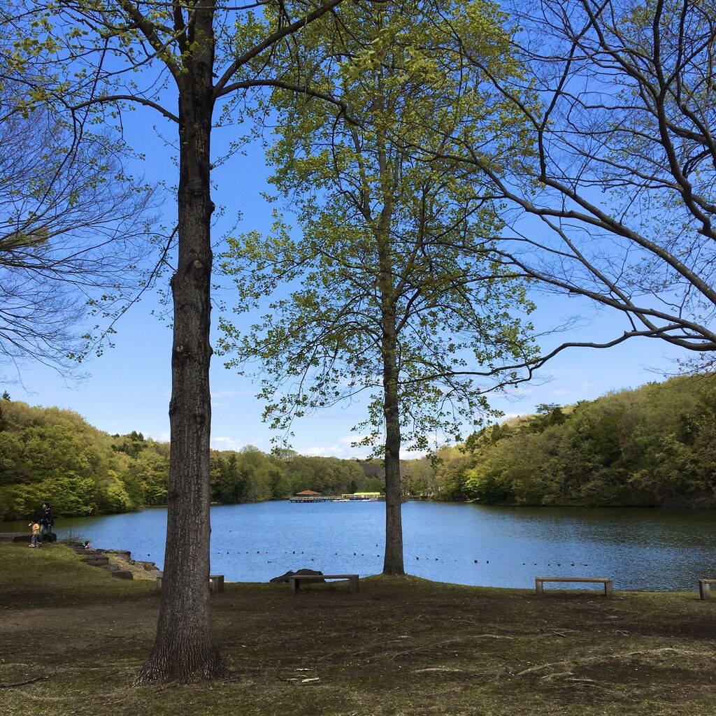 井頭公園のクチコミ 口コミ 写真 真岡市 公園