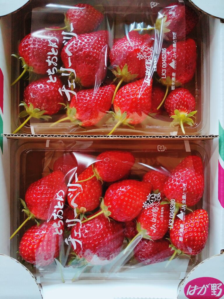 Jaはが野 益子観光いちご団地のクチコミ 口コミ 写真 益子町 果物 野菜狩り Jaはが野 益子観光いちご団地のクチコミ 口コミ 写真 益子町 果物 野菜狩り