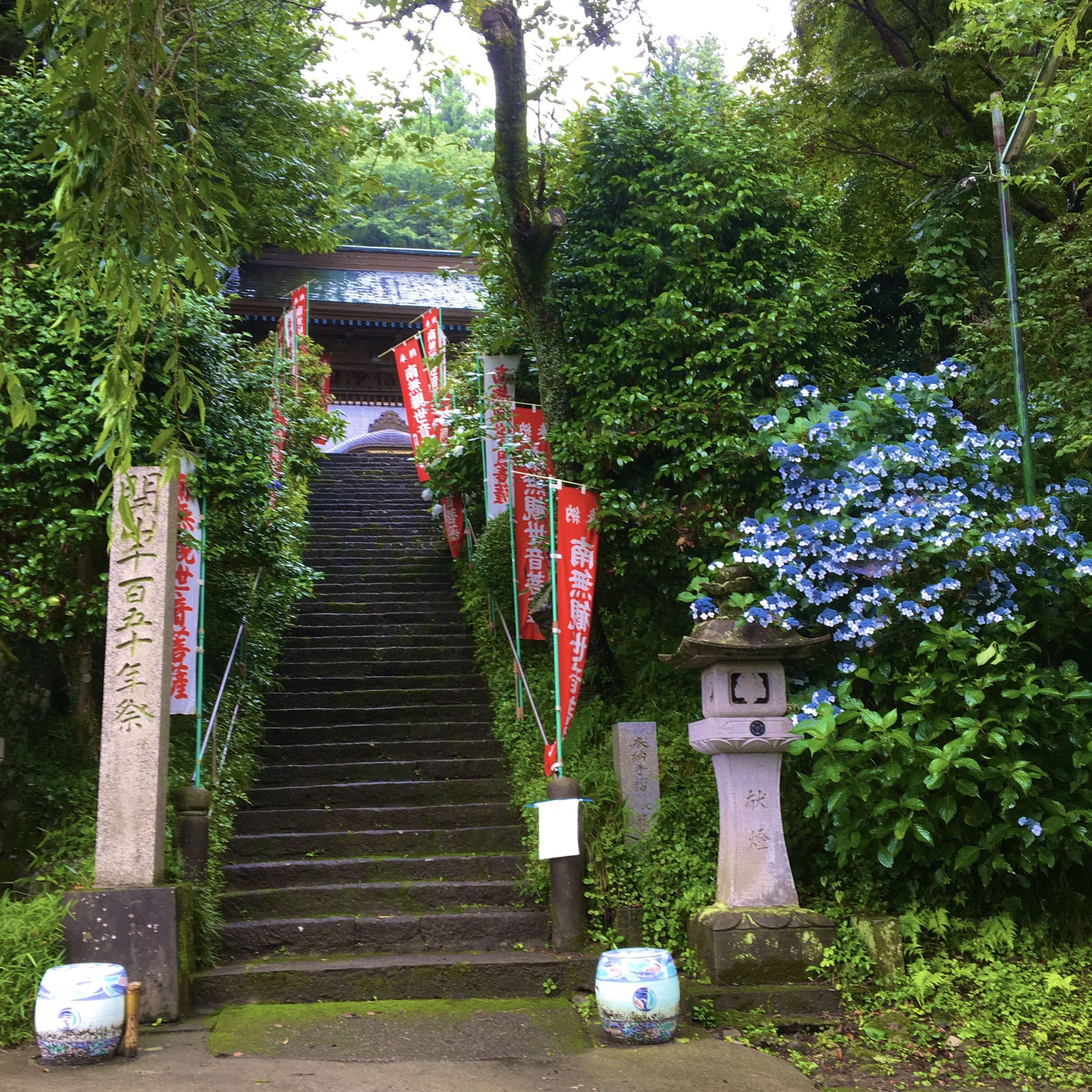 熊ちゃんさんから沢観音寺への投稿クチコミ 栃ナビ