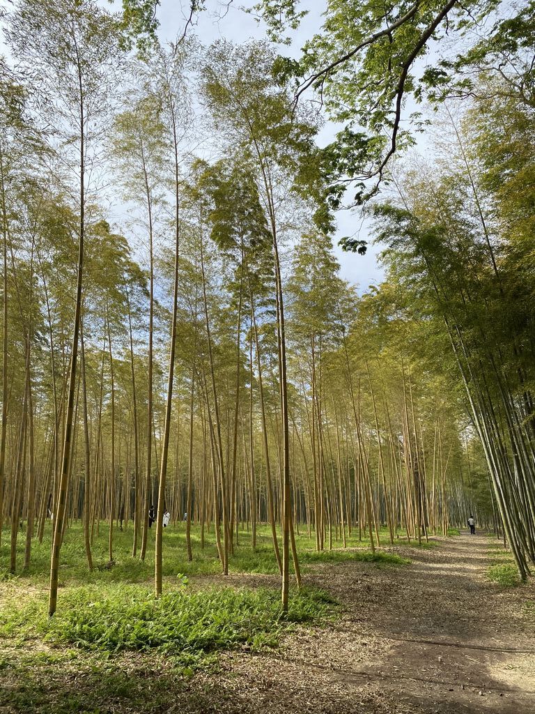 若竹の杜 若山農場のクチコミ 口コミ 写真 宇都宮市 果物 野菜狩り 若竹の杜 若山農場のクチコミ 口コミ 写真 宇都宮市 果物 野菜狩り