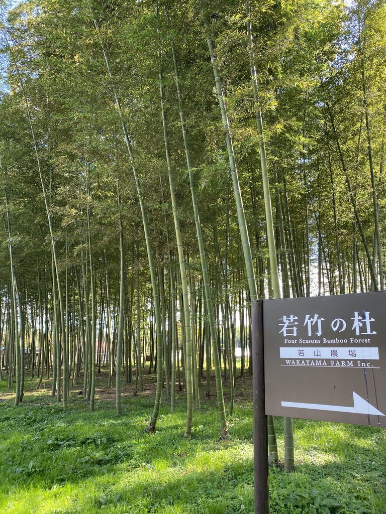 若竹の杜 若山農場のクチコミ 口コミ 写真 宇都宮市 果物 野菜狩り 若竹の杜 若山農場のクチコミ 口コミ 写真 宇都宮市 果物 野菜狩り