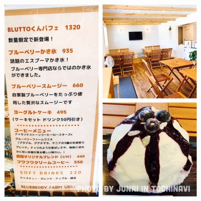 Blueberry Farm Ueki 矢板市の果物 野菜狩り カフェ 喫茶店 栃ナビ