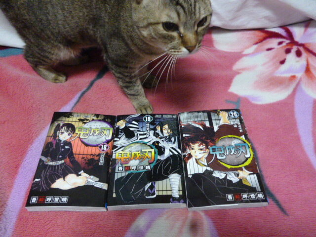 Tsutaya 鹿沼店 鹿沼市の本屋 Cd Dvdショップ 栃ナビ