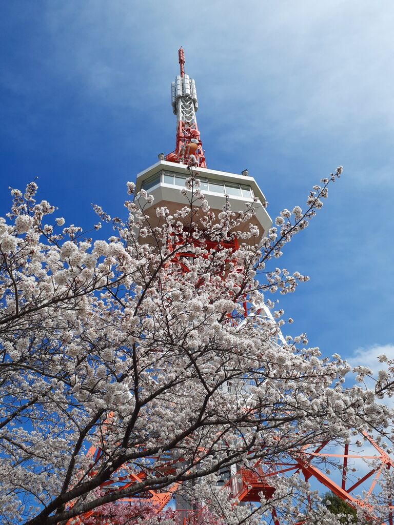 Inoさんから八幡山公園への投稿クチコミ 栃ナビ