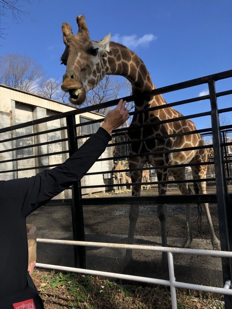 宇都宮動物園のクチコミ 口コミ 写真 宇都宮市 遊園地 動物園 宇都宮動物園のクチコミ 口コミ 写真 宇都宮市 遊園地 動物園