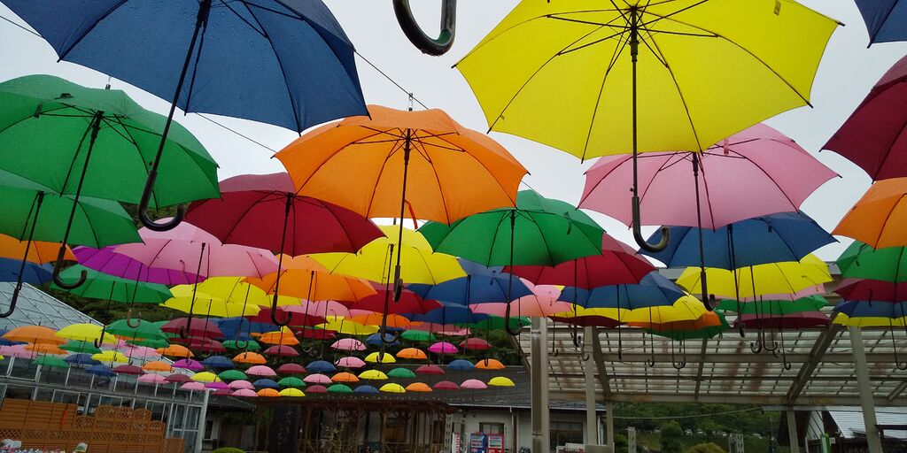 鹿沼市花木センターのクチコミ 口コミ 写真 鹿沼市 ガーデニング 造園 園芸 鹿沼市花木センターのクチコミ 口コミ 写真 鹿沼市 ガーデニング 造園 園芸