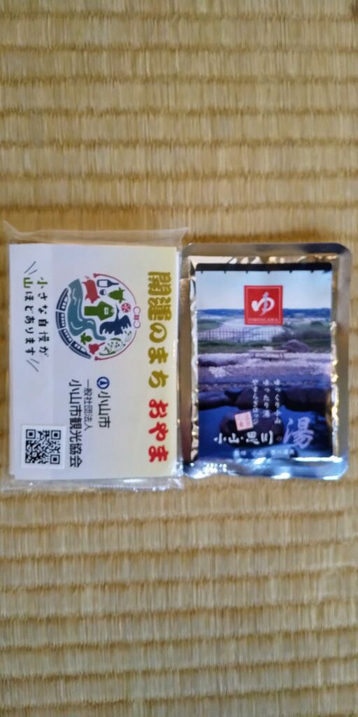 期間限定特価】 小山思川温泉 回数券 15枚 cosmetologiauba.com
