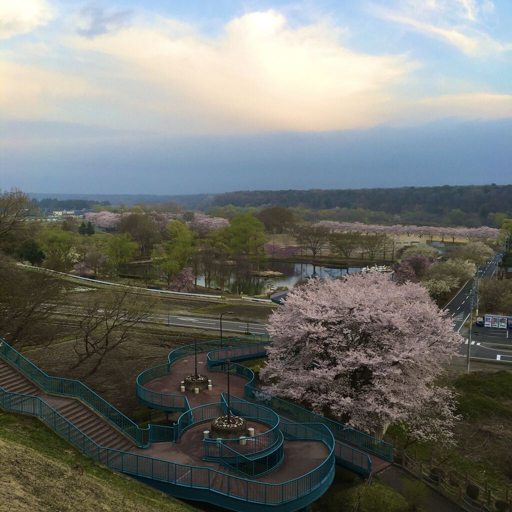 黒磯公園 那須塩原市の公園 植物園 花 栃ナビ 黒磯公園 那須塩原市の公園 植物園 花 栃ナビ