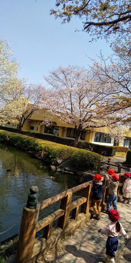 上三川城址公園 上三川町の公園 植物園 花 栃ナビ 上三川城址公園 上三川町の公園 植物園 花 栃ナビ