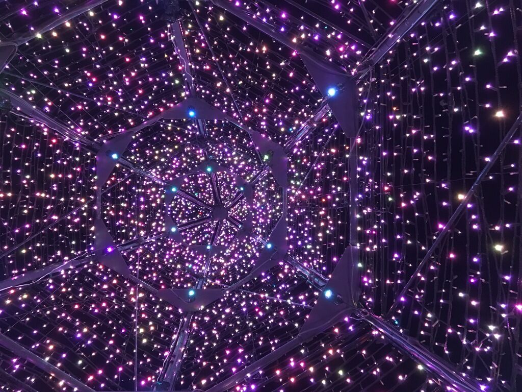 あしかがフラワーパークのクチコミ 口コミ 写真 足利市 植物園 花