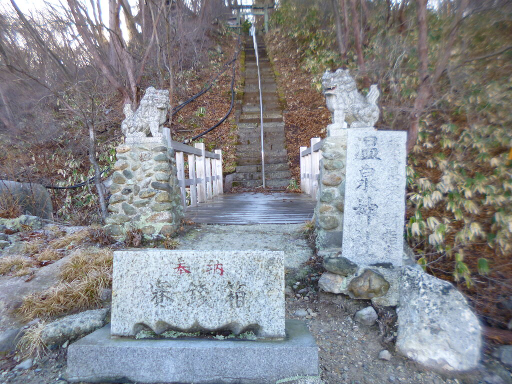みんなのクチコミ601708件新湯爆裂火口跡褐色の山肌から噴出する水蒸気栃ナビ!最新情報栃ナビ!トピックス検索