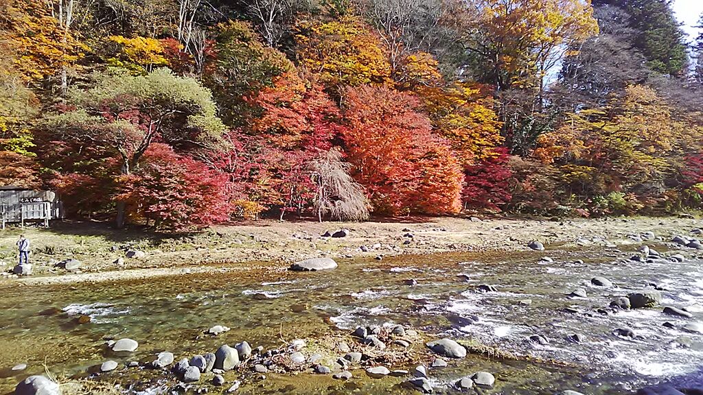 箒川のクチコミ 口コミ 写真 那須塩原市 河川