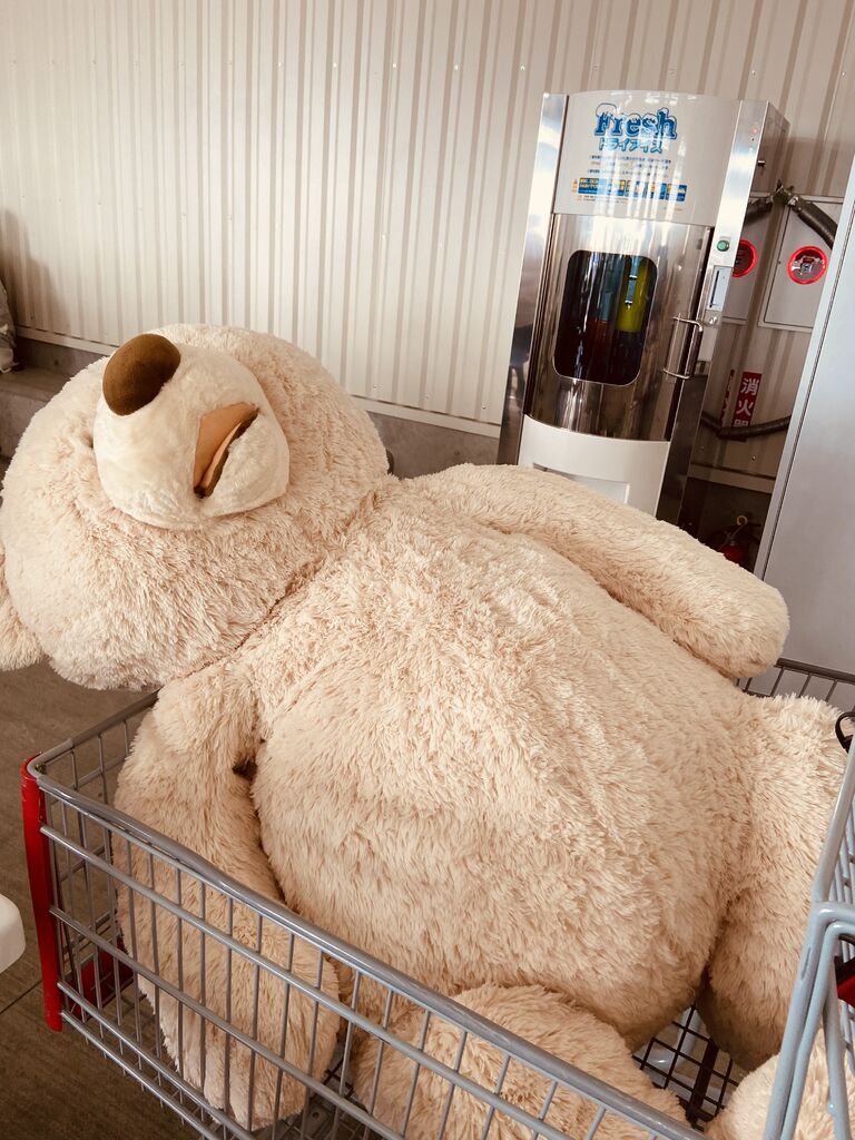レア コストコ クマの特大ぬいぐるみ 気持ち良い