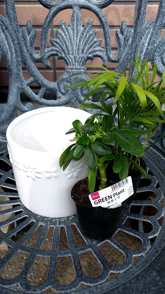 ゆみっちてらこさんからダイソー 宇都宮越戸ショッピングセンター店への投稿クチコミ 栃ナビ