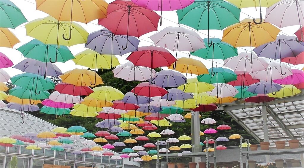 如月さんから鹿沼市花木センターへの投稿クチコミ 栃ナビ