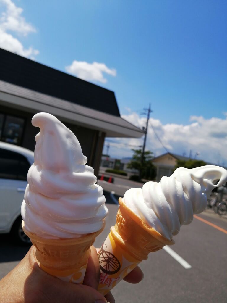 マクドナルド 4号線氏家店 さくら市のファーストフード テイクアウト 栃ナビ