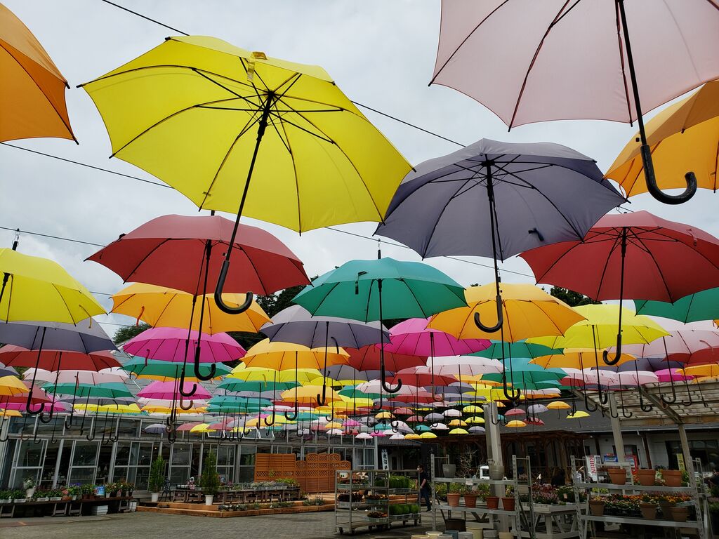 鹿沼市花木センターのクチコミ 口コミ 写真 鹿沼市 ガーデニング 造園 園芸