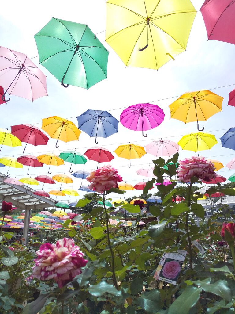 鹿沼市花木センターのクチコミ 口コミ 写真 鹿沼市 ガーデニング 造園 園芸