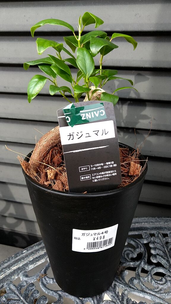 カインズ 宇都宮平出店の写真 宇都宮市 ホームセンター
