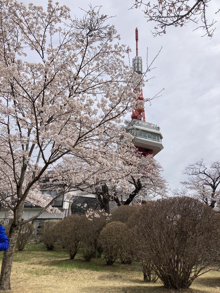 八幡山公園のクチコミ 口コミ 写真 宇都宮市 公園