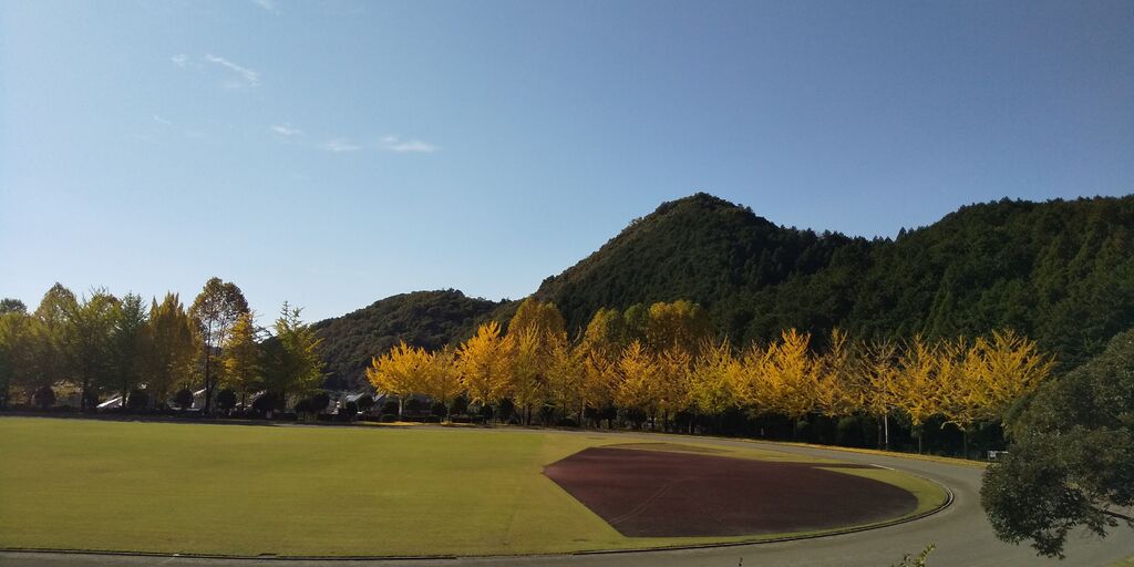 鹿沼運動公園 ヤオハン いちごパーク のクチコミ 口コミ 写真 鹿沼市 公園 鹿沼運動公園 ヤオハン いちごパーク のクチコミ 口コミ 写真 鹿沼市 公園