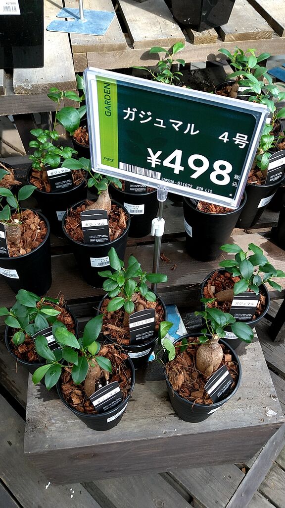 カインズ 宇都宮平出店の写真 宇都宮市 ホームセンター