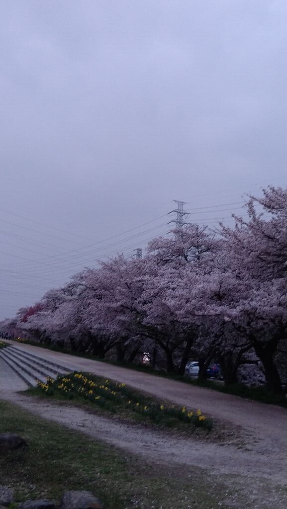 大沼親水公園 大沼ため池 のクチコミ 口コミ 写真 小山市 公園 大沼親水公園 大沼ため池 のクチコミ 口コミ 写真 小山市 公園
