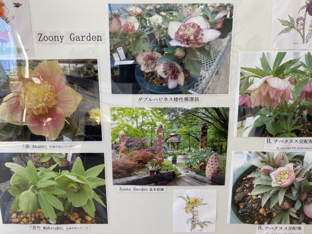 うつのみや緑花木センターのクチコミ 口コミ 写真 宇都宮市 ガーデニング 造園 園芸