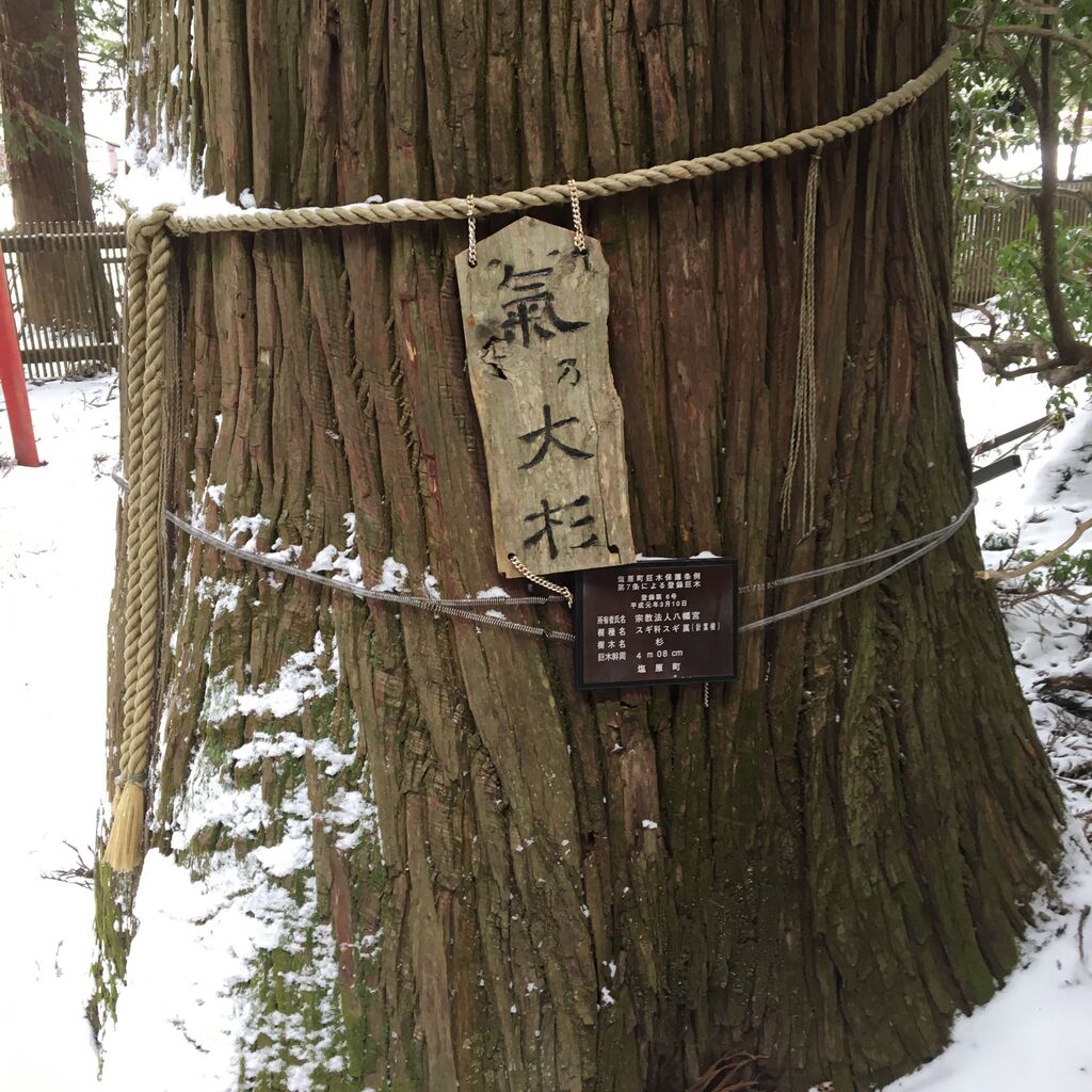 塩原八幡宮 那須塩原市の神社 仏閣 教会 樹木 栃ナビ