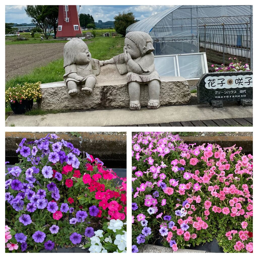 オランダ村のクチコミ 口コミ 写真 高根沢町 生花