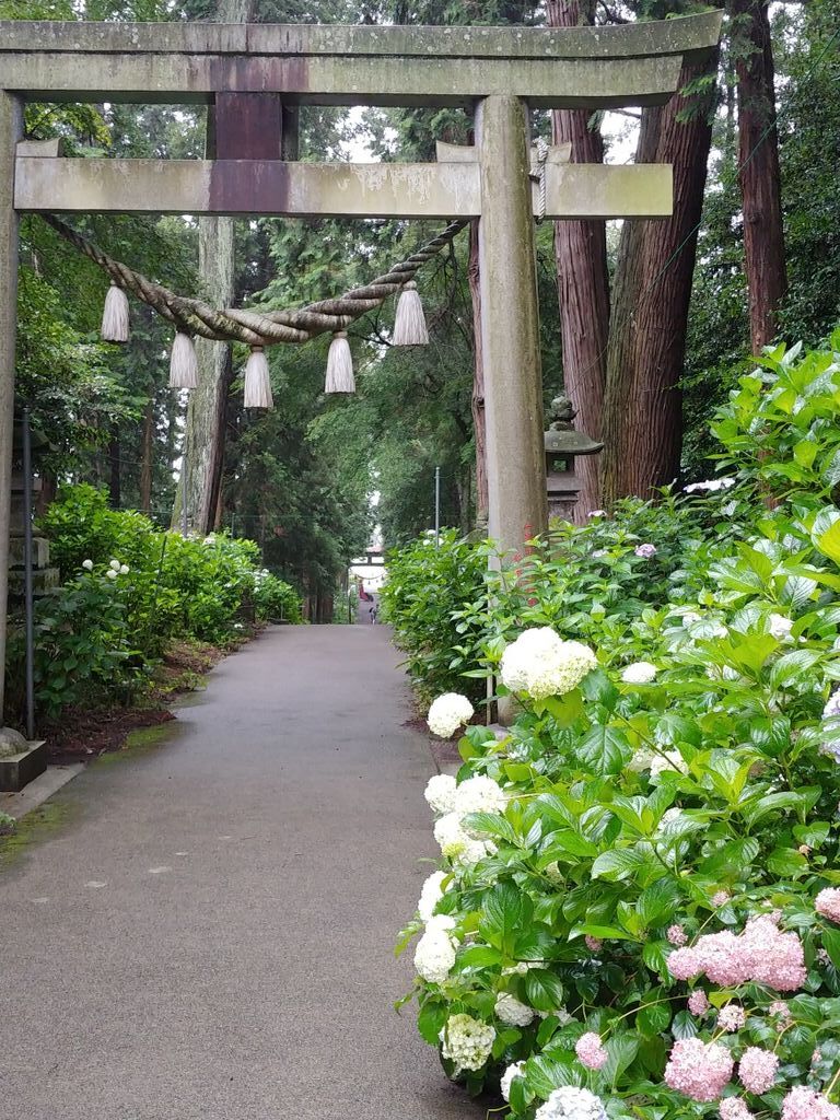 磯山神社のクチコミ 口コミ 写真 鹿沼市 神社 仏閣 教会 磯山神社のクチコミ 口コミ 写真 鹿沼市 神社 仏閣 教会