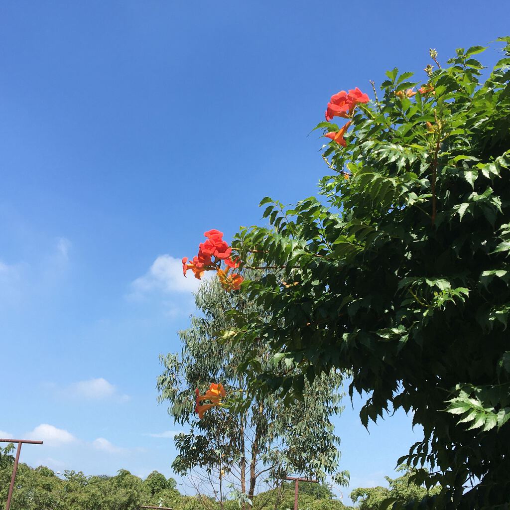 熊ちゃんさんからみかも山公園への投稿クチコミ 栃ナビ