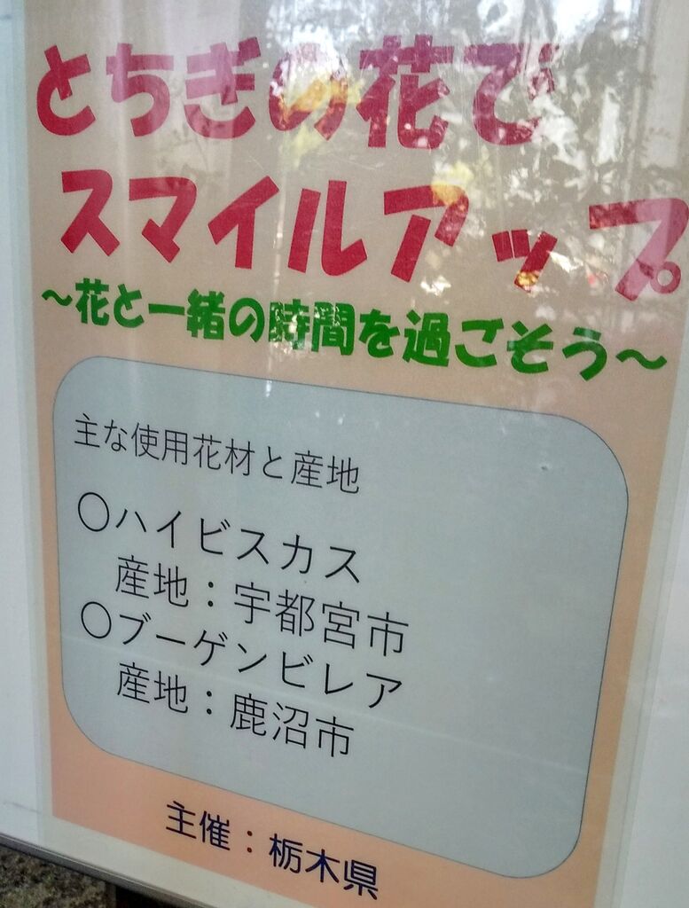 栃木県庁舎のクチコミ 口コミ 写真 宇都宮市 県庁 市役所 出張所