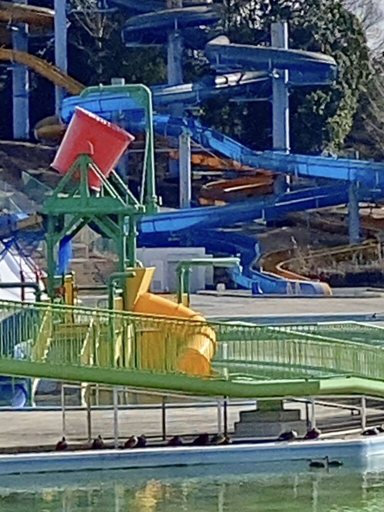 井頭公園のクチコミ 口コミ 写真 真岡市 公園