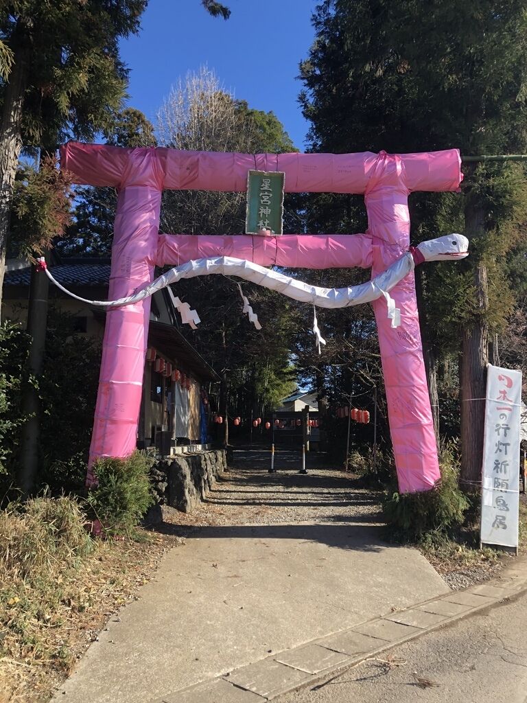 あきぼーさんから星宮神社への投稿クチコミ 栃ナビ