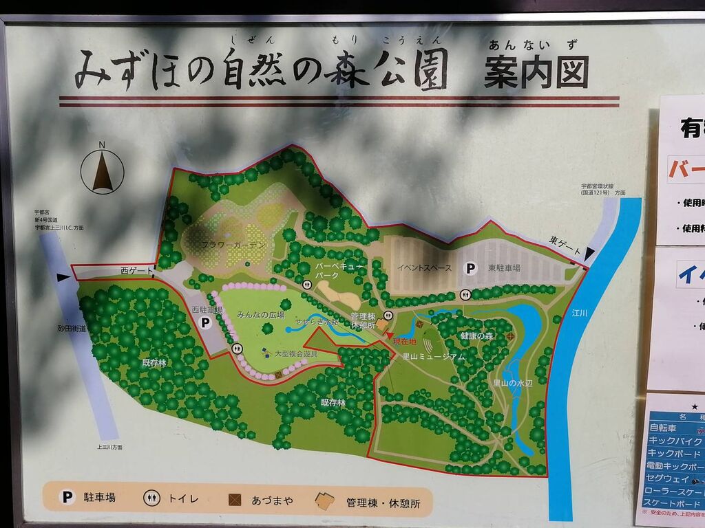 みずほ の 自然 の 森 公園 自転車