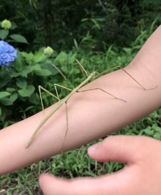 とちぎわんぱく公園のクチコミ 口コミ 写真 壬生町 公園