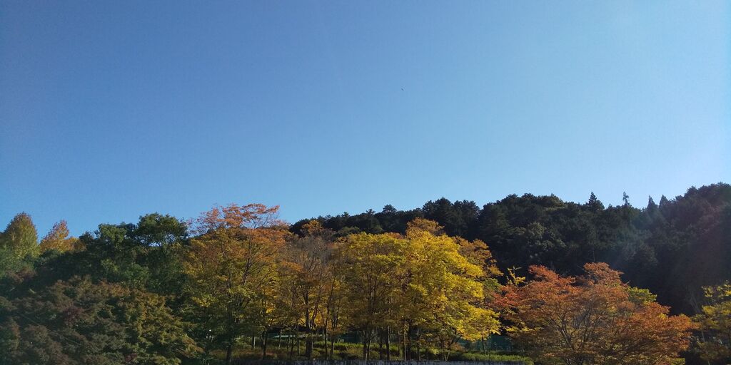 鹿沼運動公園 ヤオハン いちごパーク のクチコミ 口コミ 写真 鹿沼市 公園 鹿沼運動公園 ヤオハン いちごパーク のクチコミ 口コミ 写真 鹿沼市 公園