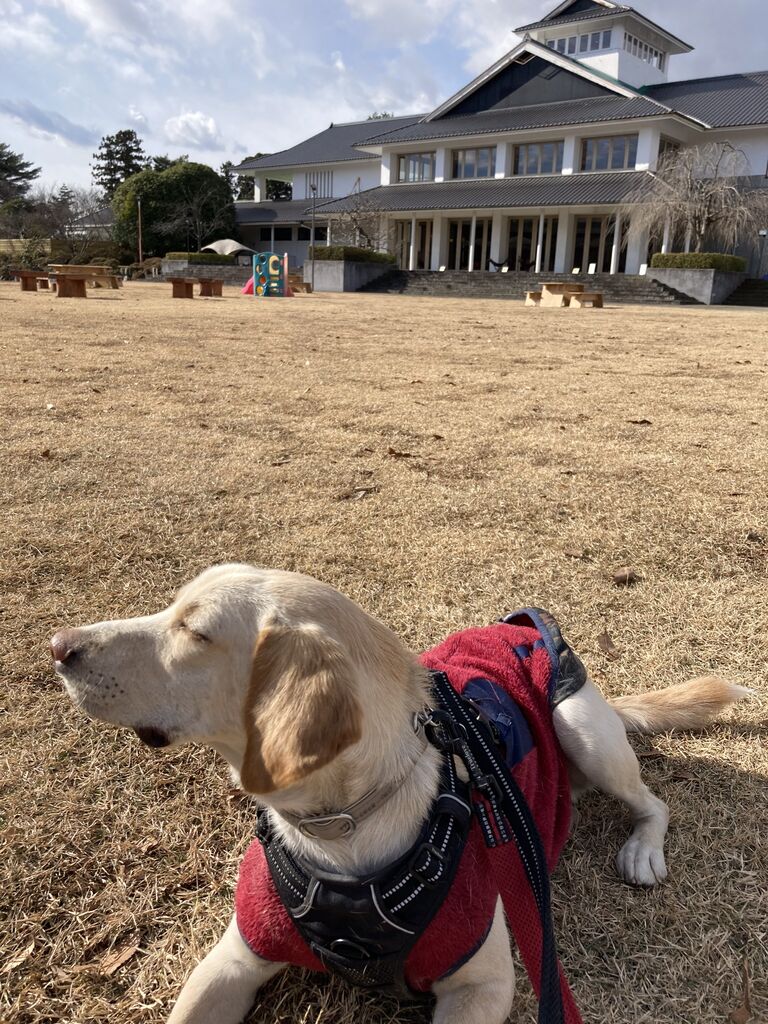 しそさんから道の駅たかねざわ 元気あっぷむらへの投稿クチコミ 栃ナビ