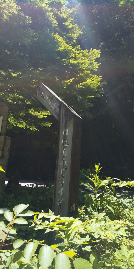 日塩もみじラインのクチコミ 口コミ 写真 那須塩原市 街道 日塩もみじラインのクチコミ 口コミ 写真 那須塩原市 街道