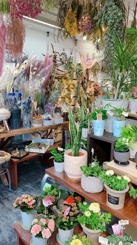 あとりえドリーム 宇都宮市の生花 プリザーブド ドライ 栃ナビ あとりえドリーム 宇都宮市の生花 プリザーブド ドライ 栃ナビ