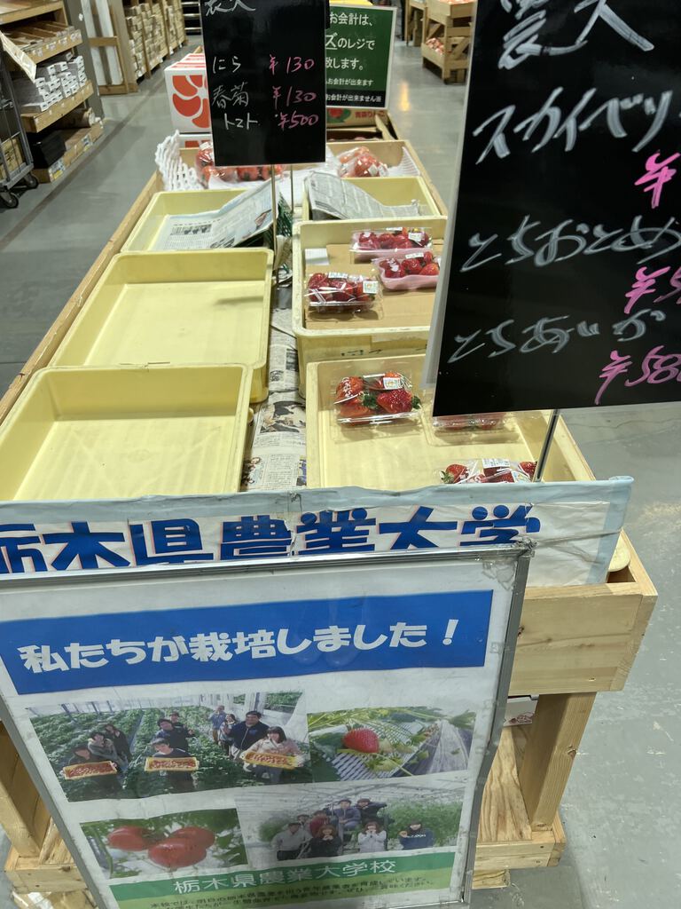 カインズ 宇都宮平出店 宇都宮市のホームセンター 家具 インテリア 栃ナビ