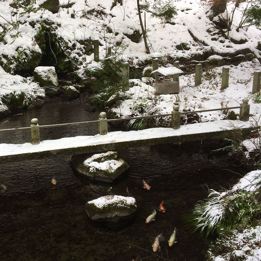 塩原八幡宮 那須塩原市の神社 仏閣 教会 樹木 栃ナビ