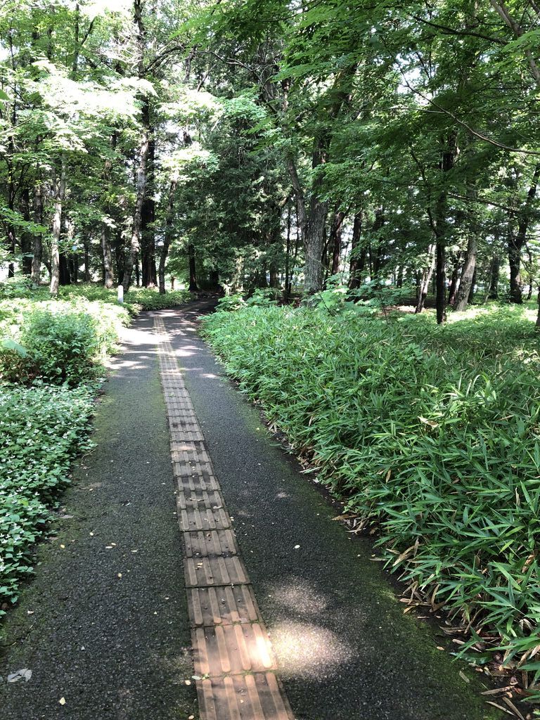 とちぎ健康の森 とちぎ健康づくりセンター 宇都宮市の体育館 ジム 屋内プール 栃ナビ