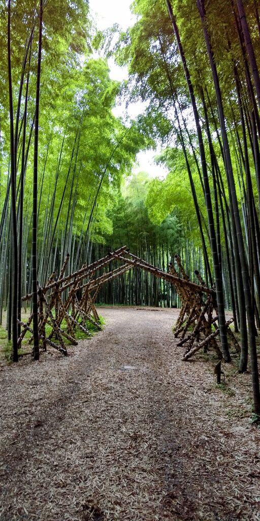 若竹の杜 若山農場のクチコミ 口コミ 写真 宇都宮市 果物 野菜狩り 若竹の杜 若山農場のクチコミ 口コミ 写真 宇都宮市 果物 野菜狩り